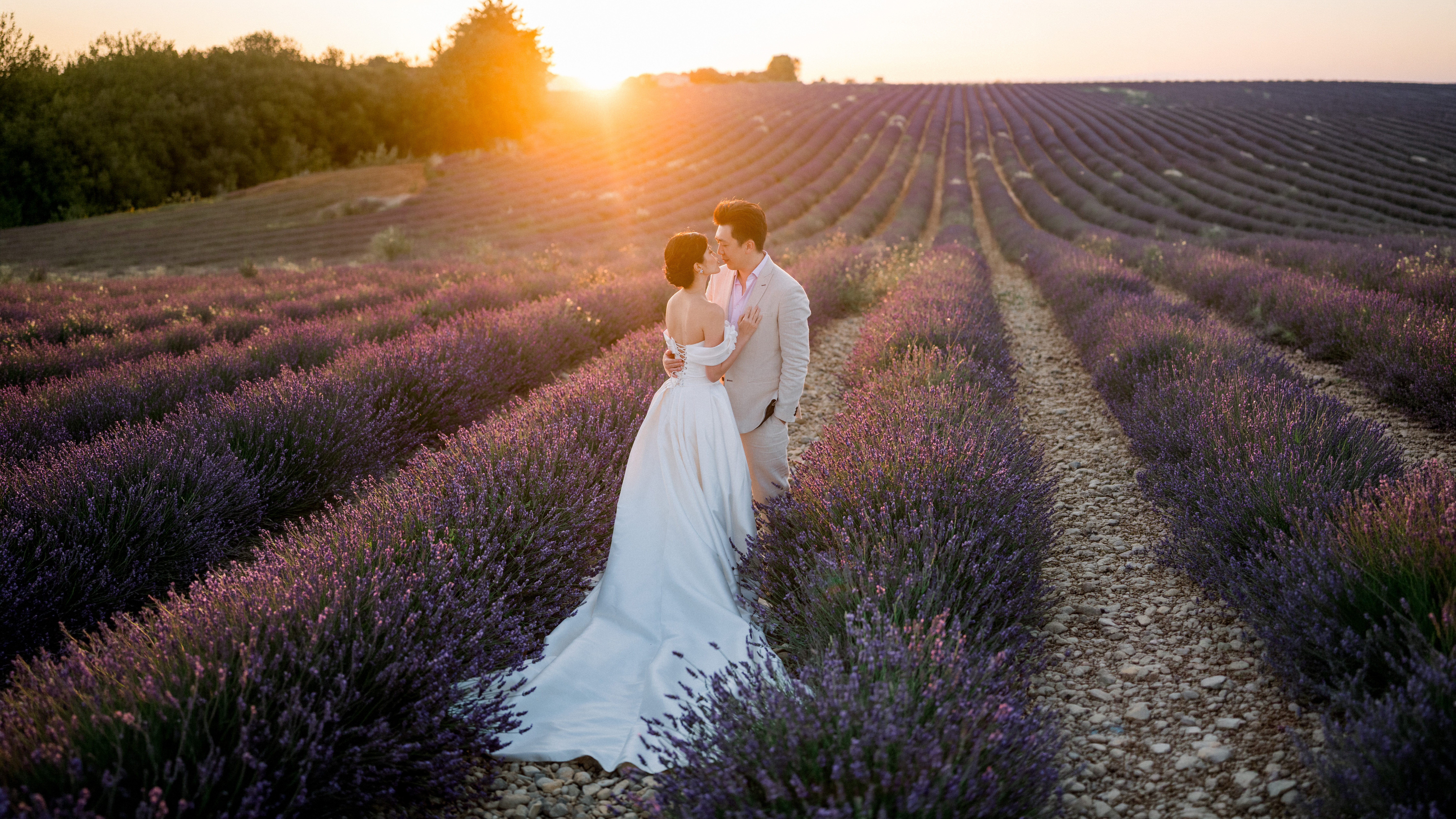 séance photo fiançailles lavande valensole